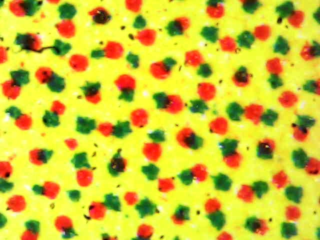 Ink Transfer.jpg