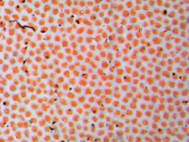 Offset Printing Ink.jpg